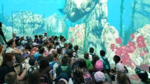 Fb img 1746539806233